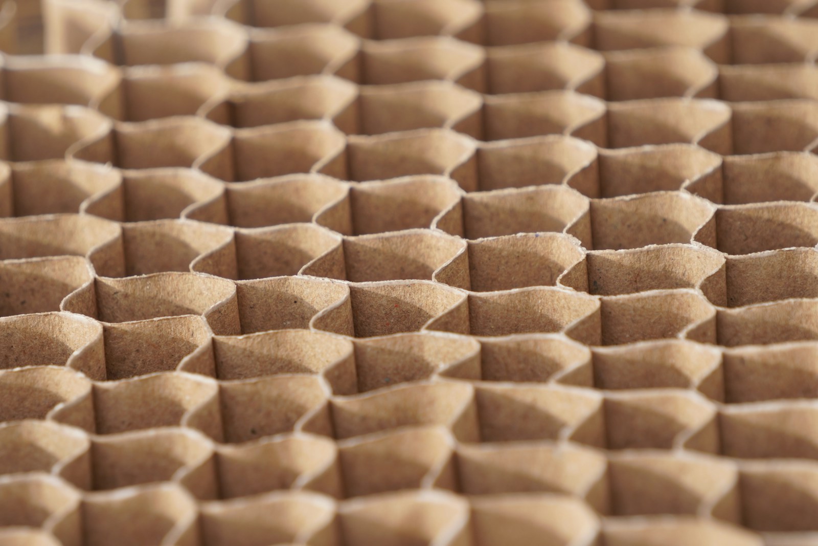 Textura em favo de mel do papelão para proteção de cargas